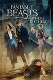 Fantastic Beasts and Where to Find Them Style D Movie Poster 11 x 17 inch