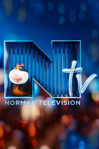 Norman Television Style A Movie Poster 27 x 40 inch