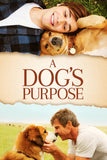 A Dog's Purpose Style C Movie Poster 27 x 40 inch