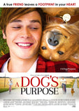 A Dog's Purpose Style D Movie Poster 27 x 40 inch