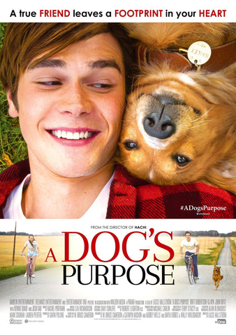 A Dog's Purpose Style D Movie Poster 11 x 17 inch