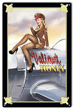 Nose Art Valiant Honey Pin Up Girl Aviation Metal Sign 12×18