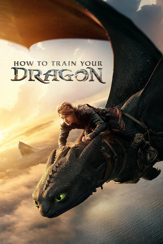 How to Train Your Dragon Style C Movie Poster 27 x 40 inch