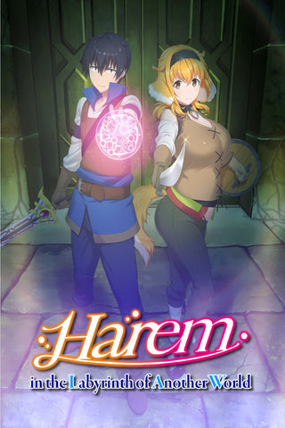 Harem in the Labyrinth of Another World Style: 2 - 11 x 17 inch. TV Show Poster