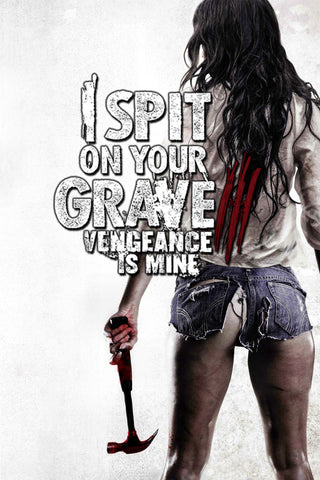 I Spit on Your Grave III: Vengeance Is Mine Style C Movie Poster 11 x 17 inch