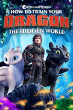How to Train Your Dragon: The Hidden World Style B Movie Poster 27 x 40 inch