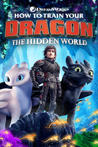 How to Train Your Dragon: The Hidden World Style B Movie Poster 27 x 40 inch