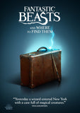 Fantastic Beasts and Where to Find Them Style E Movie Poster 27 x 40 inch