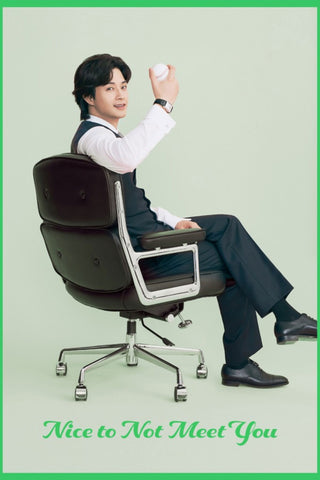 Nice to Not Meet You Style: 1 - 27 x 40 inch. TV Show Poster