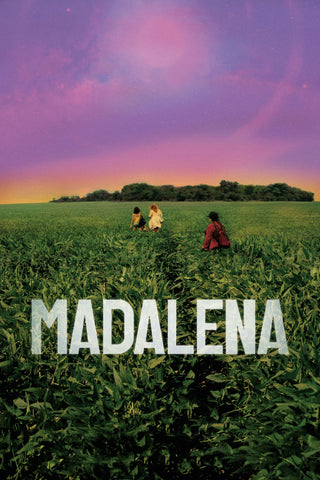 Madalena Style A Movie Poster 27 x 40 inch