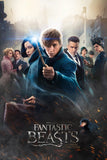 Fantastic Beasts and Where to Find Them Style C Movie Poster 11 x 17 inch
