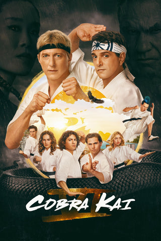 Cobra Kai Style: 3 - 11 x 17 inch. TV Show Poster