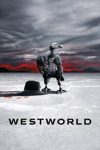 Westworld Style: 1 - 11 x 17 inch. TV Show Poster