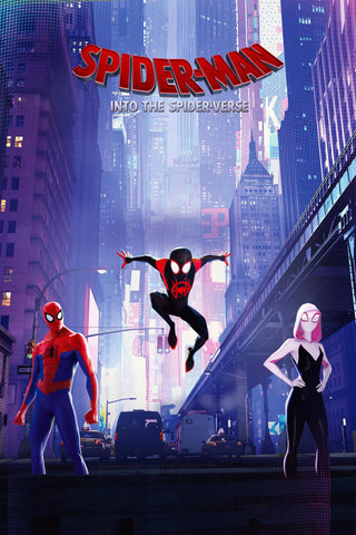 Spider-Man: Into the Spider-Verse Style D Movie Poster 27 x 40 inch