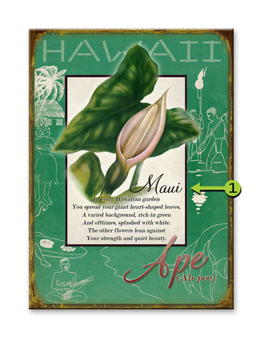 Ape Flower Metal 17x23