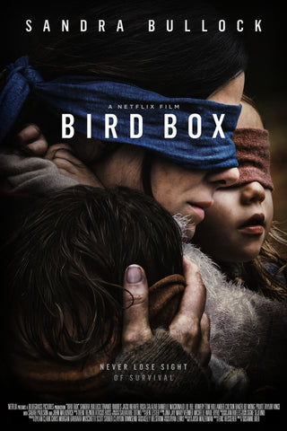 Bird Box Style C Movie Poster 27 x 40 inch