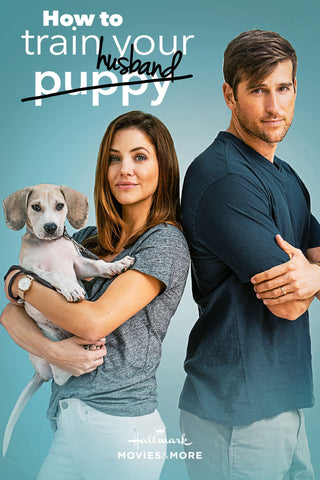 How to Train Your Husband Style D Movie Poster 27 x 40 inch