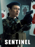Sentinelle Style D Movie Poster 11 x 17 inch
