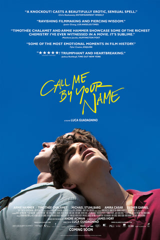 Call Me by Your Name Style C Movie Poster 11 x 17 inch