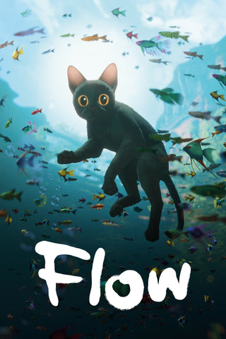 Flow Style C Movie Poster 27 x 40 inch