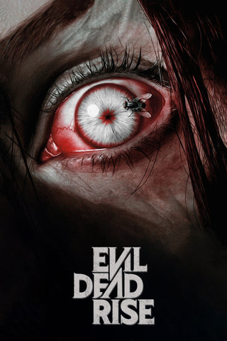 Evil Dead Rise Style D Movie Poster 11 x 17 inch