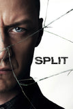 Split Style C Movie Poster 11 x 17 inch