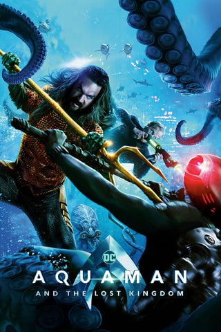 Aquaman and the Lost Kingdom Style E Movie Poster 11 x 17 inch