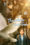 The White Olive Tree Style: 3 - 27 x 40 inch. TV Show Poster