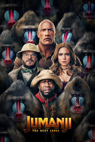 Jumanji: The Next Level Style C Movie Poster 11 x 17 inch
