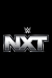 WWE NXT Style: 2 - 11 x 17 inch. TV Show Poster