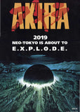 Akira 11 x 17 Movie Poster - Style E