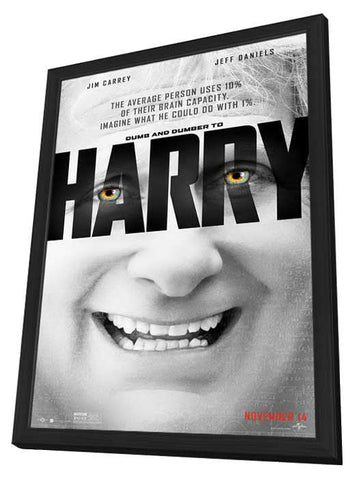 Dumb and Dumber To 24 x 36 Movie Poster - Style E - in Deluxe Aluminum Frame