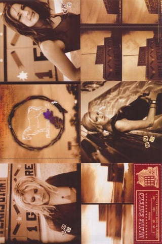 Dixie Chicks 11 x 17 Music Poster - Style B