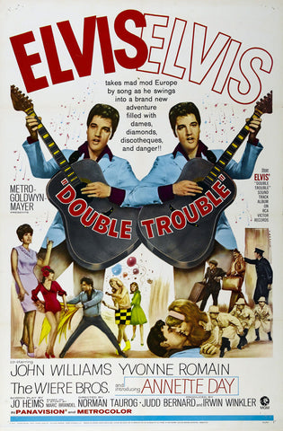 Double Trouble 11 x 17 Movie Poster - Style B