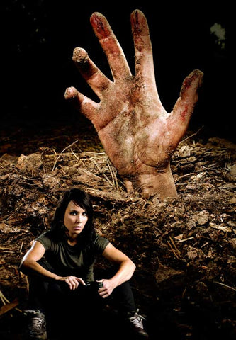 The Girl Who Kicked the Hornet's Nest 11 x 17 Movie Poster - Style B