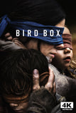 Bird Box Style E Movie Poster 11 x 17 inch