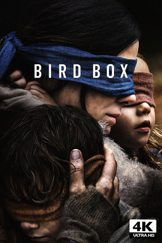 Bird Box Style E Movie Poster 27 x 40 inch