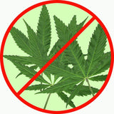 Marijuana Cannabis Metal Sign