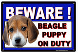 Beware Beagle Puppy On Duty Metal Sign
