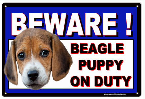 Beware Beagle Puppy On Duty Metal Sign