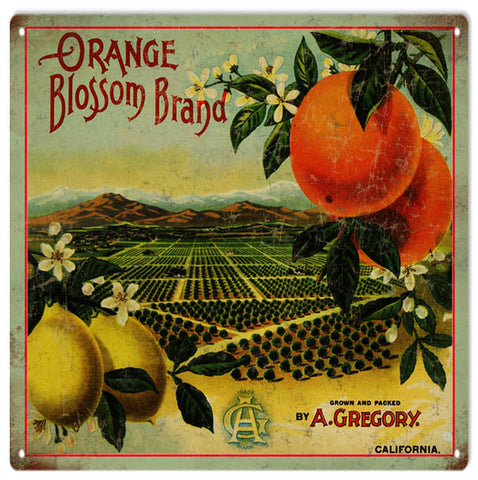 Vintage Orange Blossom Brand Metal Sign