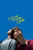 Call Me by Your Name Style D Movie Poster 11 x 17 inch