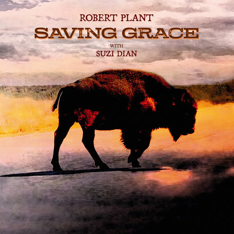 Robert Plant - Saving Grace 11 x 17 inch. Album Cover Poster