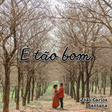 Carlos Santana - É Tão Bom 11 x 17 inch. Album Cover Poster