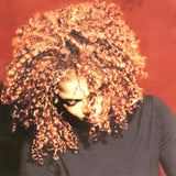 Janet Jackson - The Velvet Rope 11 x 17 inch. Album Cover Poster