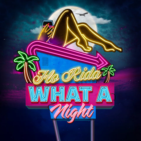 Flo Rida - What A Night 11 x 17 inch. Album Cover Poster