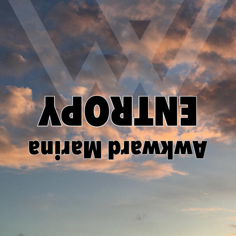 MARINA - Entropy (2014 Original) 24 x 36 inch. Album Cover Poster