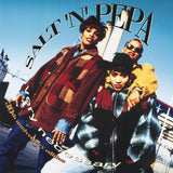 Salt-N-Pepa - Very Necessary (30th Anniversary Edition) 11 x 17 inch. Album Cover Poster
