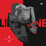 Lil Wayne - Sorry 4 The Wait 11 x 17 inch. Album Cover Poster