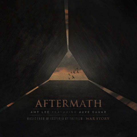 Amy Lee - Aftermath (Music From and Inspired by the Film - War Story) 11 x 17 inch. Album Cover Poster